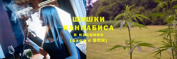 шишки Алзамай
