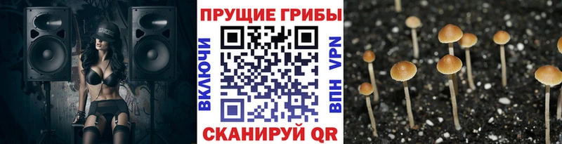 Псилоцибиновые грибы Psilocybine cubensis  где можно купить наркотик  Якутск 